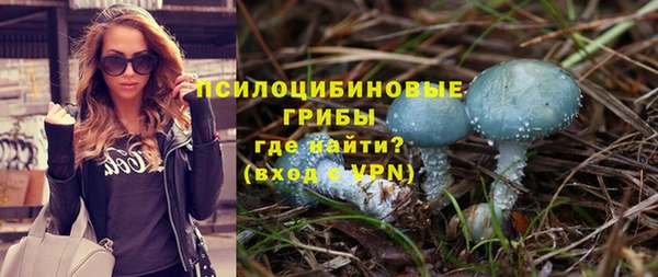 mdpv Гусь-Хрустальный